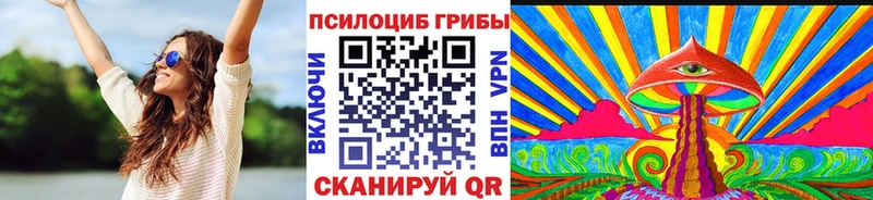 Псилоцибиновые грибы Psilocybe  Волхов 
