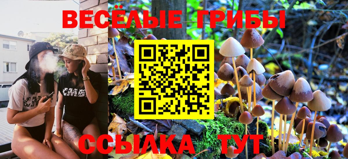 Галлюциногенные грибы Cubensis Волхов