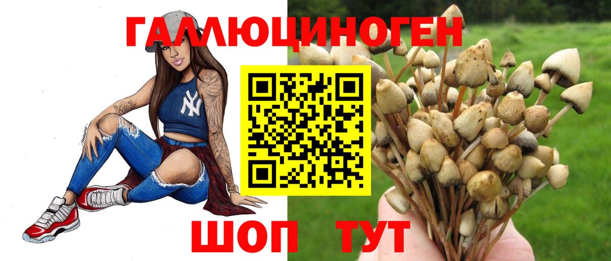 Псилоцибиновые грибы мухоморы  Галлюциногенные грибы мицелий  Волхов  Вход с VPN 